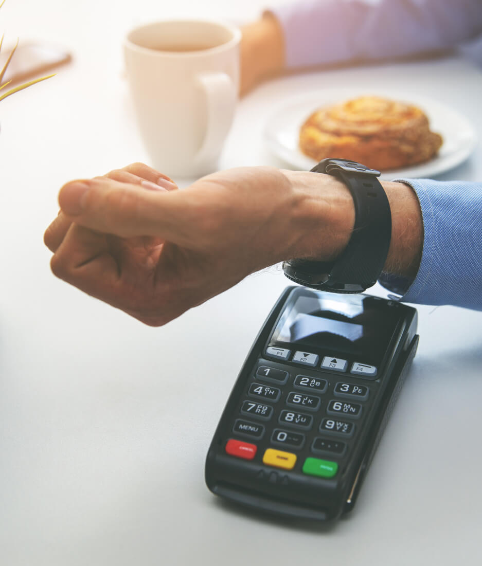 Imagen de la interface de Garmin Pay